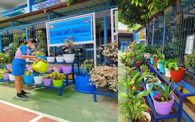 Hijaunya Sekolah Kami Menuju Adiwiyata Provinsi